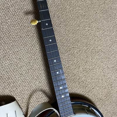 Blueridge Banjo 5-string Remo Drum Head w/ Hard Case image 5