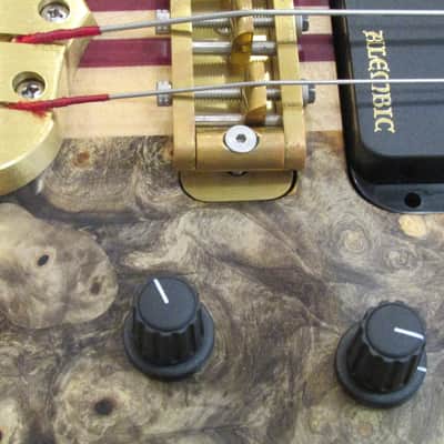 2003 Alembic Stanley Clarke FRETLESS BUCK-EYE BURL Europa Electronics - STUNNING! image 11