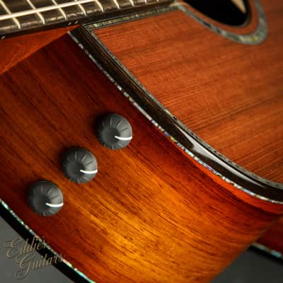 Taylor PS12ce 12-Fret - Honduran Rosewood/Sinker Redwood image 23