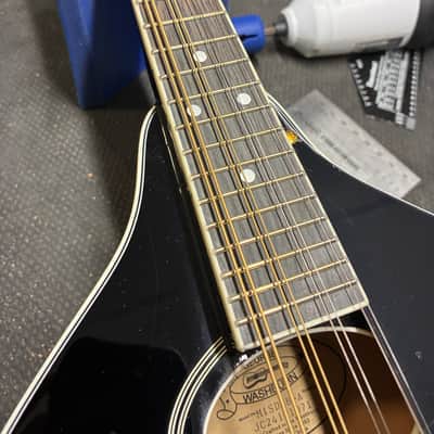 Washburn M1SDLB Bluegrass Series image 5
