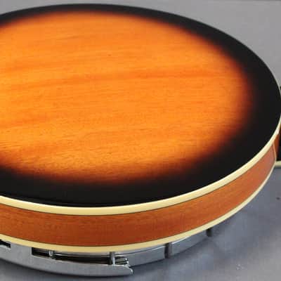 Epiphone Stagebird 6 String Electric Banjo image 10