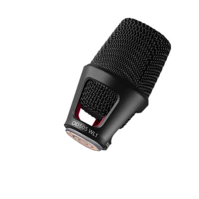 Austrian Audio OD505WL1 + FREE Violawave Bullet (Black Friday Offer!) image 4