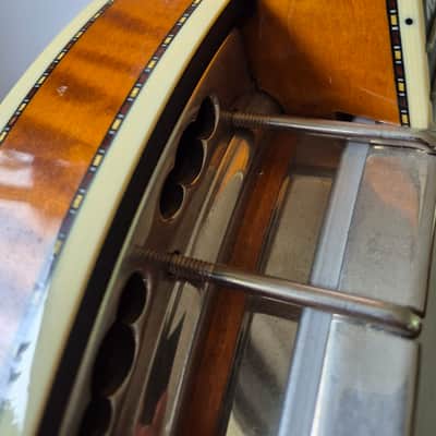 Deering Calico 5-String Banjo 2010s - with hard case, capo spikes, capo image 7