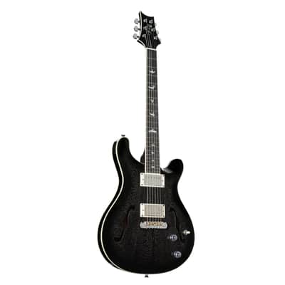 PRS SE Hollowbody Standard Dog Hair Smokeburst - Electric Guitar Bild 1