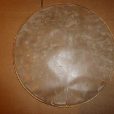 3x Set 12" , 13" calf drum head - Slingerland image 10