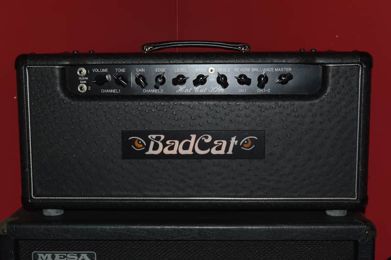 Bad Cat Hot Cat 30R 30-Watt Guitar Amp Head with Reverb image 1