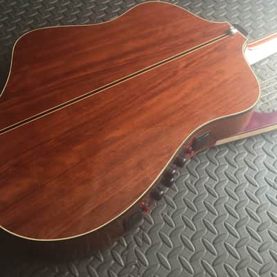 Extraordinary Near Mint Virtuoso Custom Telesis Bespoke 20 String Electro-Acoustic Harp Guitar image 19