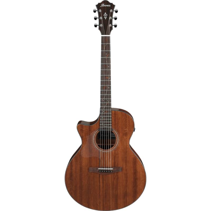 Ibanez AE295L Left-Handed image 1