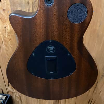 Taylor T5 Classic image 5