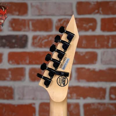 ESP Custom Shop Chris Degarmo Signature Warhol Graphic 2005 w/OHSC image 10