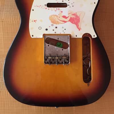 Fender Telecaster Body image 1