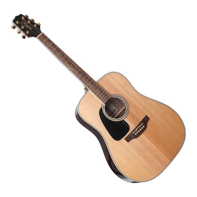 Takamine GD51