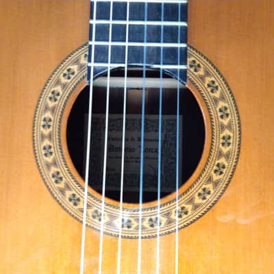 Antonio Lorca Model 23 Classical Guitar image 12