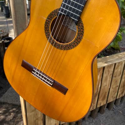 Salvador Castillo Flamenco Blanca 2008 - French Polish image 7