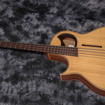 Warwick Alien Acoustic Bass Left Handed image 10