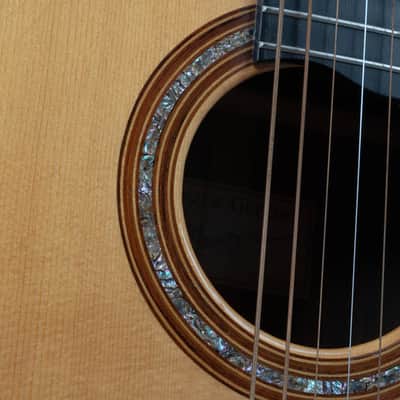 Manzer Baritone "Pat Metheny" image 19