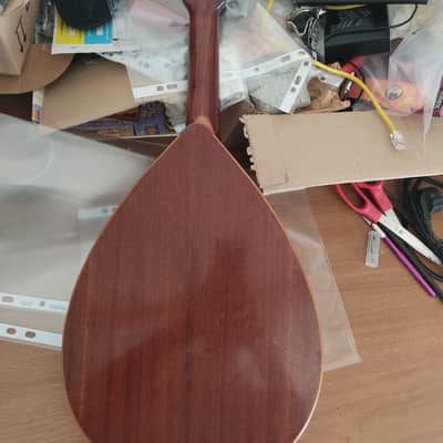 Mandolino Prudenzio Saez image 4