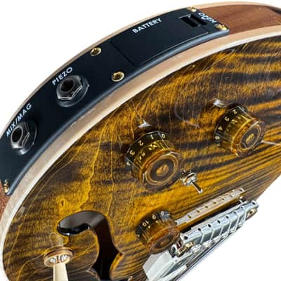 2025 PRS 40th Anniversary Hollowbody II Piezo One Piece 10-Top & Back! - Yellow Tiger image 7