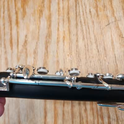 Jupiter JOB 1000 OBOE 2 YEARS OLD image 9