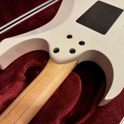 Ibanez PGM300RE-WH 20th Anniversary Paul Gilbert Signature 2009 - White image 18