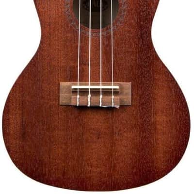 Kala Brand Music Co., 4-String Ukulele, Light Mahogany Stain, Learn to Play Kit (KA-15C-BNDL2006) image 2