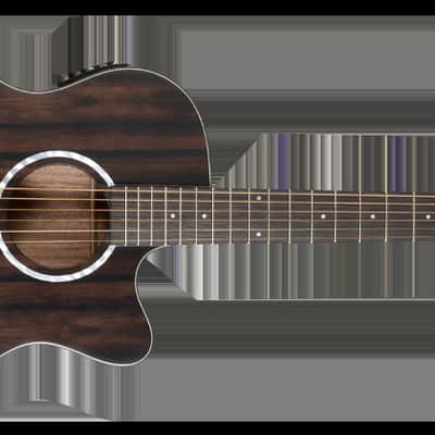 Washburn Deep Forest Ebony Ace Electro Acoustic Guitar image 1