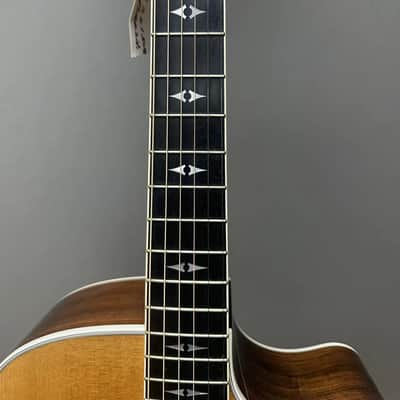 Taylor 810 CE LTD Acoustic 2001 image 3