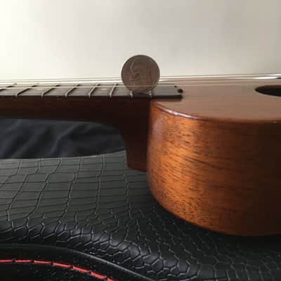 Lyon & Healy / Washburn Soprano 1920s image 21