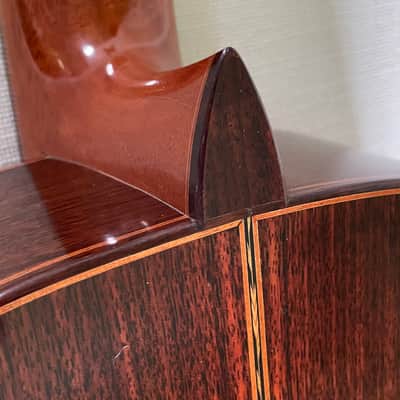 Greg Gregory Byers Lattice Braced 2016 - French Polish image 9
