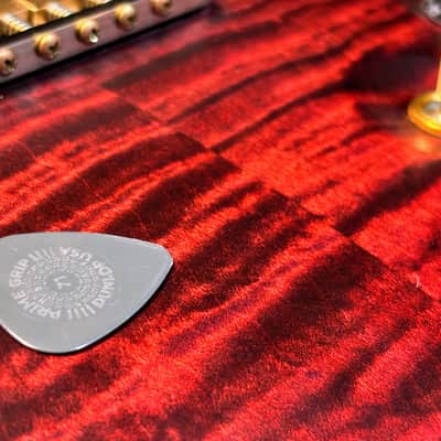 PRS 25th Anniversary Modern Eagle II Tremolo 2010 - Angry Larry image 24