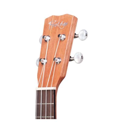Protege by Cordoba U100CM Concert Ukulele image 6
