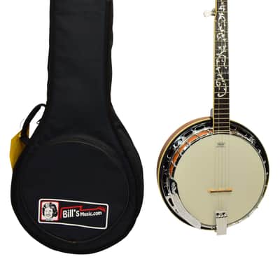 Ibanez B200 5-string Resonator Banjo w/ Bag image 1