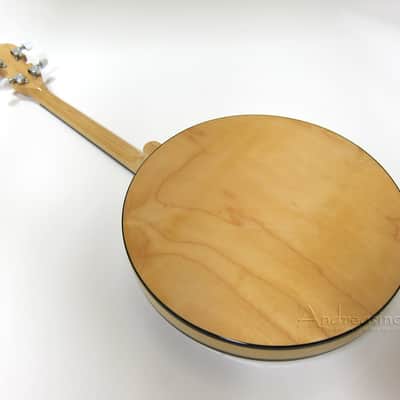 Gold Tone 4-String Irish Tenor Banjo w/ Gig Bag image 4