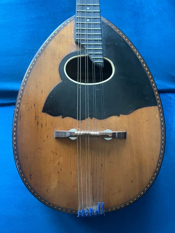 Wurlitzer Solid Spruce Top & Wood Purfling Mandolin 1920’s image 1