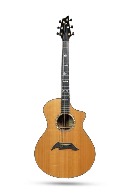 Breedlove Masterclass Northwest Model Signed 2006 - Natural image 1