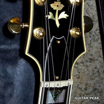 Epiphone Sheraton 1964 Reissue 2000s Vintage Sunburst image 11