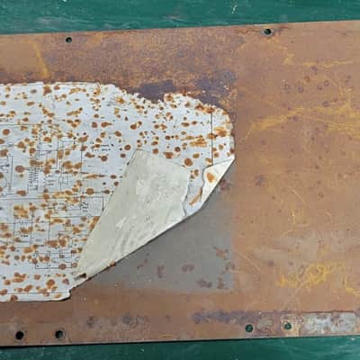 Ampeg B-25 Bass amp cover plate 1974ish image 1