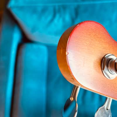 Overwater Custom J Series 5 String Bass image 8