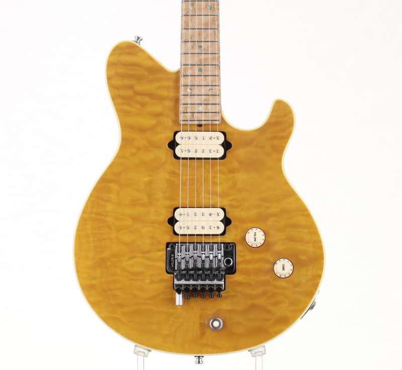 TERRY ROGERS MALLIE Trans Honey Gold [043] (06/22) image 1