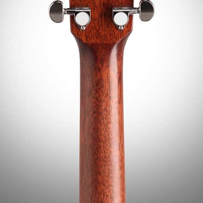 Alvarez ABT60 Baritone Acoustic Guitar image 9