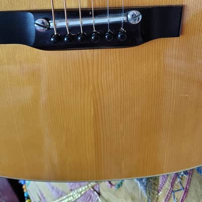 Epiphone FT-120 1976 - 1979 Lincolnwood label image 4