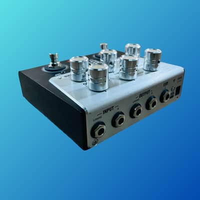 Positive Grid Bias Delay Twin image 3