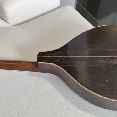 Bruno Klemm. Mandolina. Year 1890 Mandolin. image 3