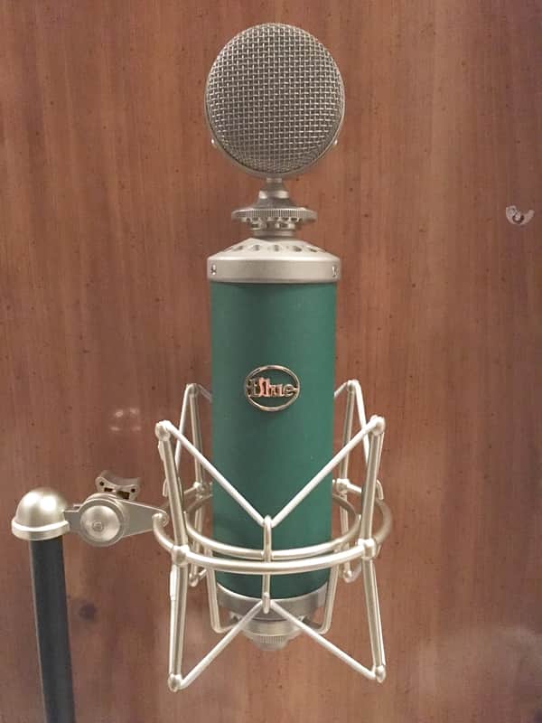 Blue Kiwi Large Diaphragm Multipattern Condenser Microphone image 2
