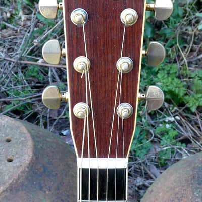 Tokai Cat's Eyes CE500 1979 Natural Japan Vintage D28 Copy image 8