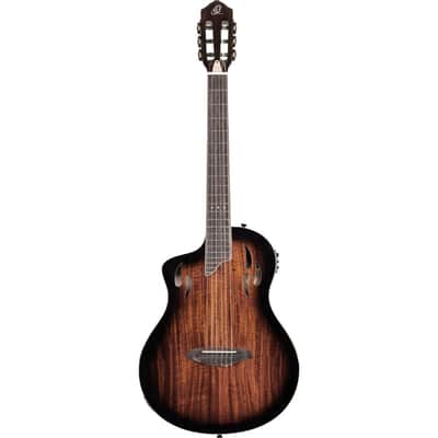 Ortega RTPDLX-ACA-L TourPlayer Series Solid Okoume Body Slim Neck Nylon 6-String Acoustic-Electric Guitar w/Gig Bag For Left Handed Player image 2