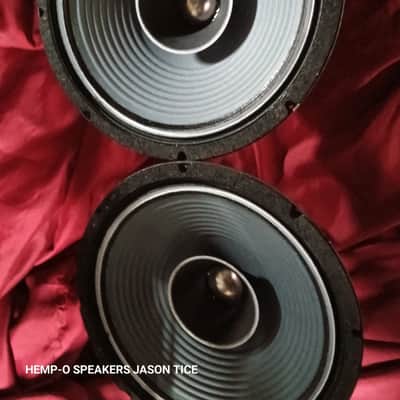 12" FIELD COIL SPEAKERS WIDE RANGE PAIR ALL NEW OEM AMERICAN COMPONENTS PMR 30PAP-FC 2026 image 3