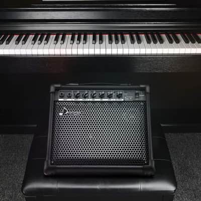 20 Watt Keyboard Amplifier 20 Watt Keyboard AMP Piano AMP image 6