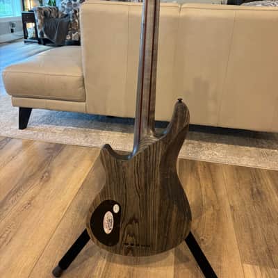 Schecter C-5 Apocalypse 2020 - Rusty Grey (minty) image 12