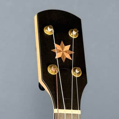 Pisgah 12" Fretless Cherry Dobson Short Scale image 11